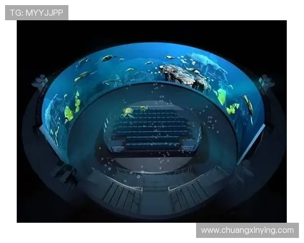 欧宝视讯不断创新技术,为用户打造沉浸式的虚拟娱乐环境体验 欧宝视讯不断创新技术,为用户打造沉浸式的虚拟娱乐环境体验