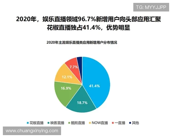 一号娱乐有限公司在行业中的竞争优势与创新技术应用详解